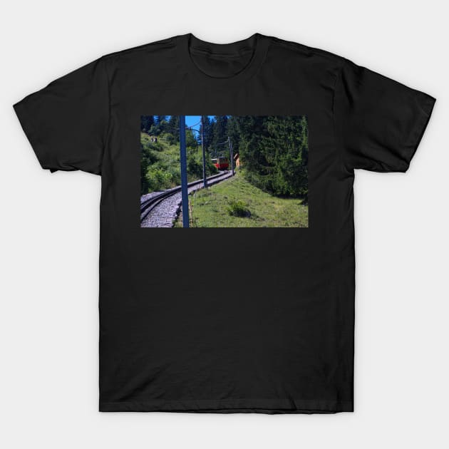 Switzerland - Mountains with train T-Shirt by AnimaliaArt